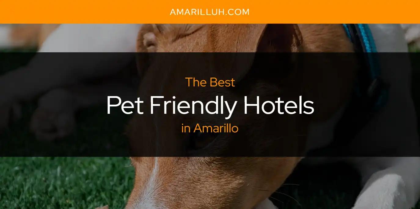 The Absolute Best Pet Friendly Hotels in Amarillo  [Updated 2024]