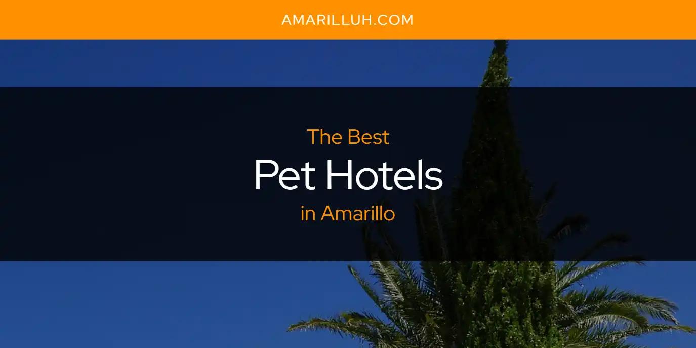 The Absolute Best Pet Hotels in Amarillo  [Updated 2024]