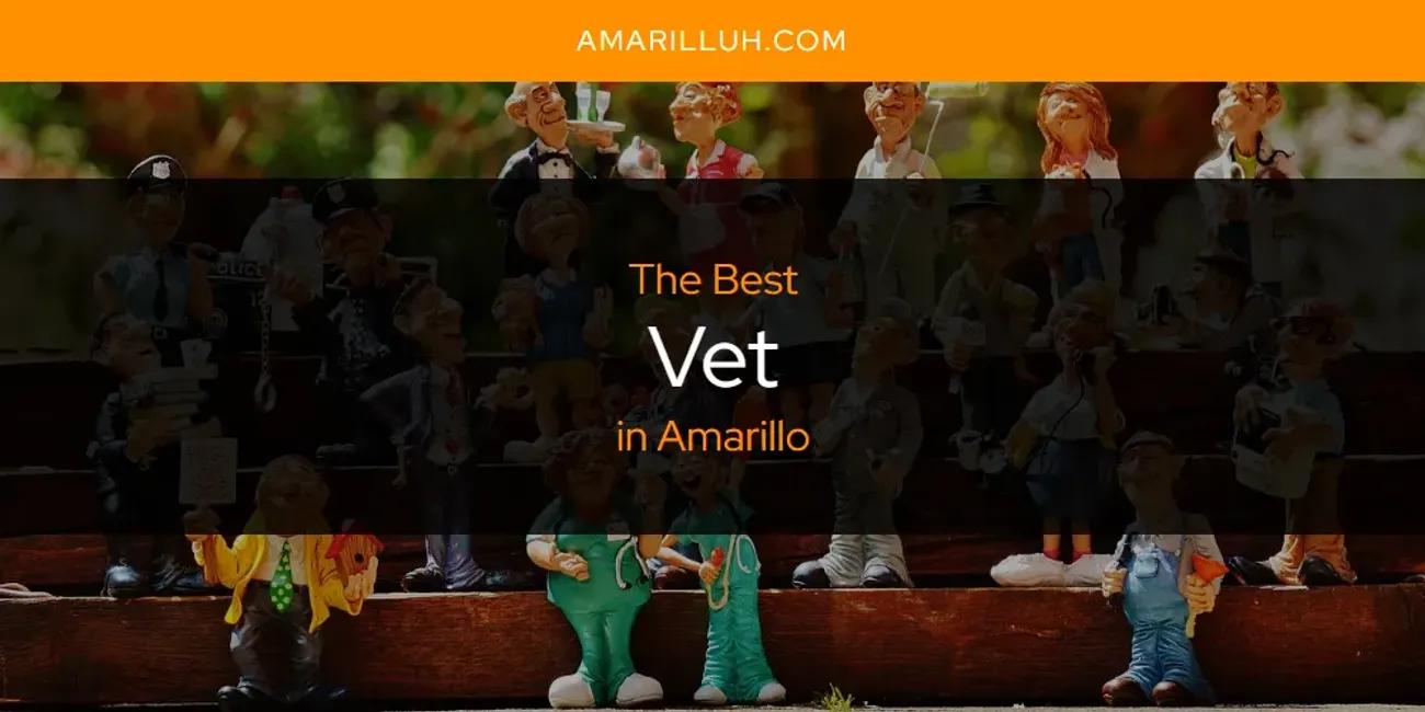 The Absolute Best Vet in Amarillo  [Updated 2024]